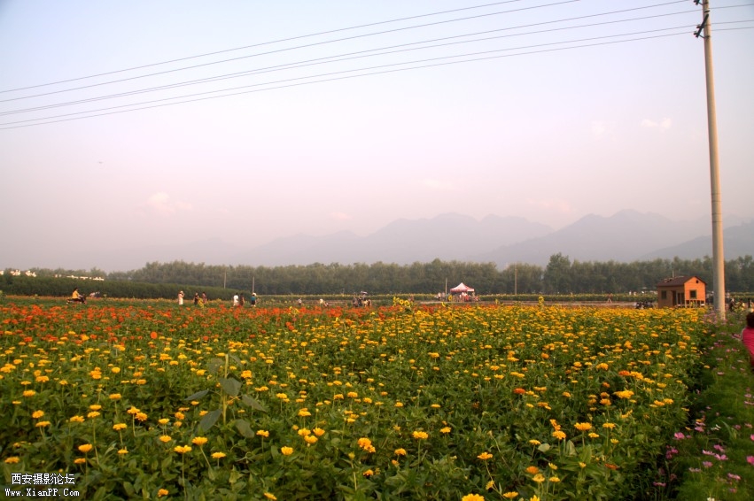 DSC_1065_conew1.jpg