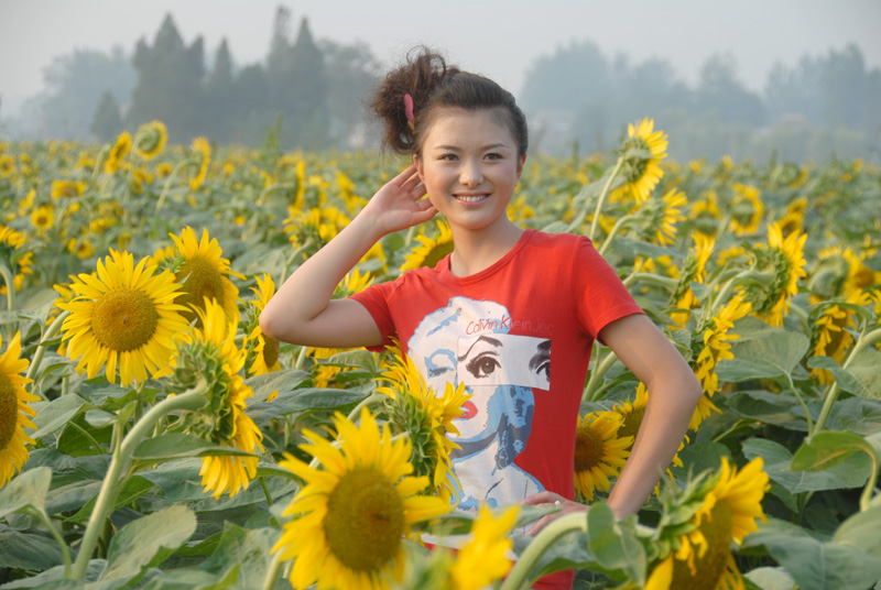 楼观 葵花 (2).jpg