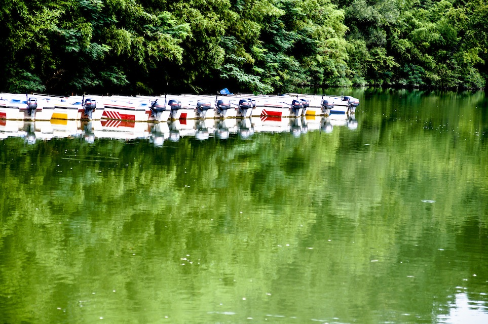 _DSC5888.jpg