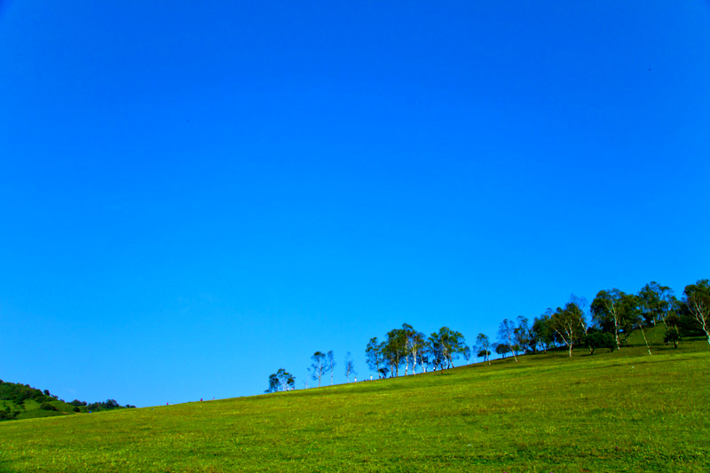 _MG_5321.jpg