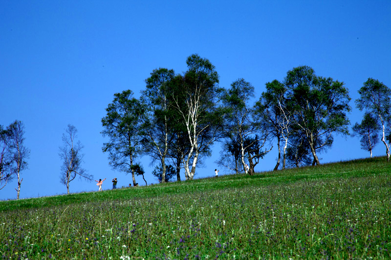 _MG_5326.jpg
