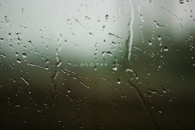 DSC05375_副本_副本.jpg
