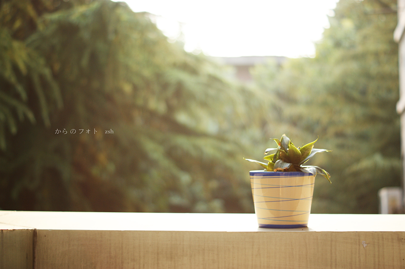 DSC05825_副本_副本.jpg
