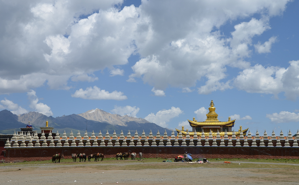 DSC_0449_副本.jpg