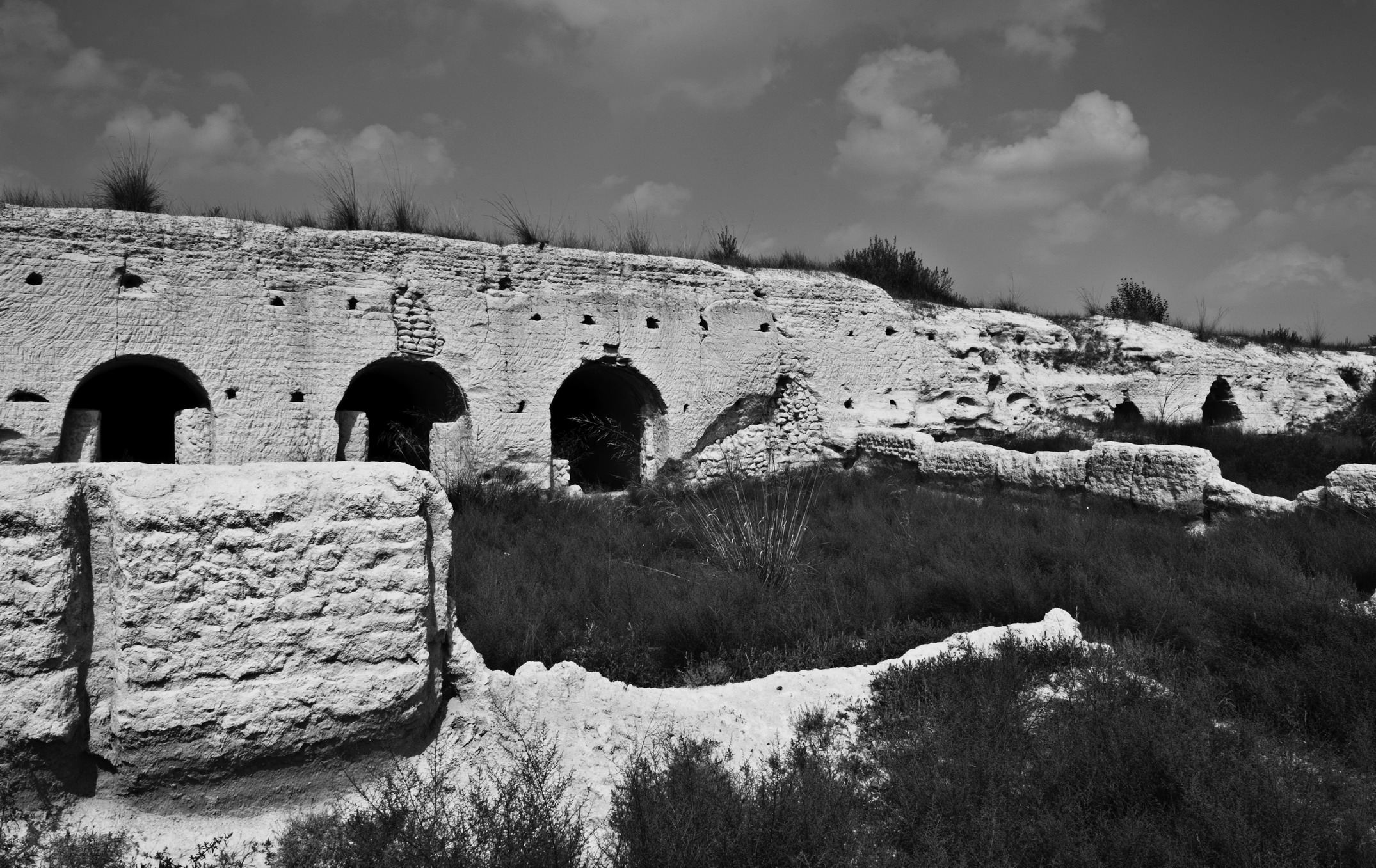 DSC_0853_1.jpg