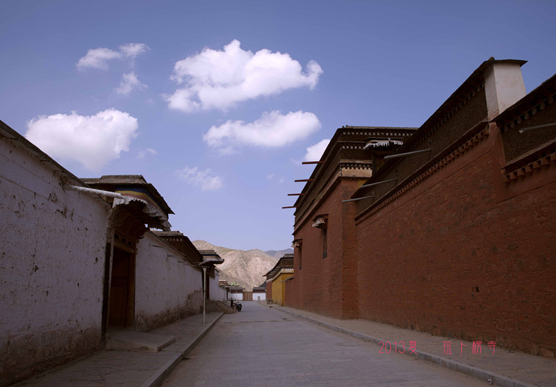 IMG_4463_副本.jpg