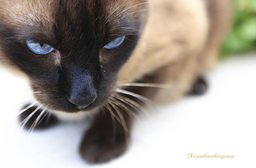 IMG_7086 (182)副本.jpg