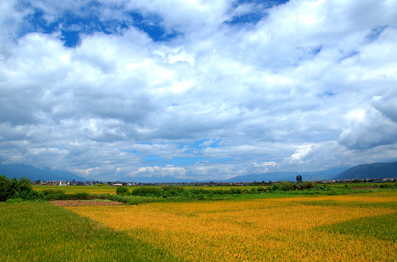 DSC_1734_副本_副本.jpg