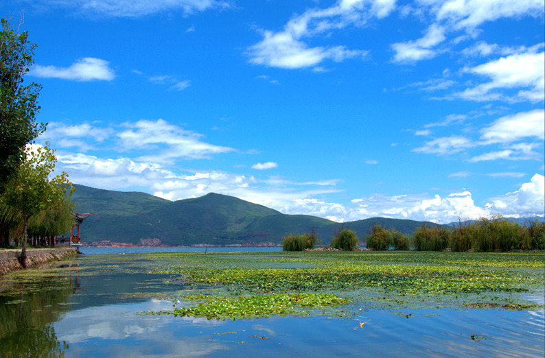 DSC_1816_副本.jpg