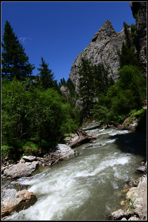 DSC_2286.jpg