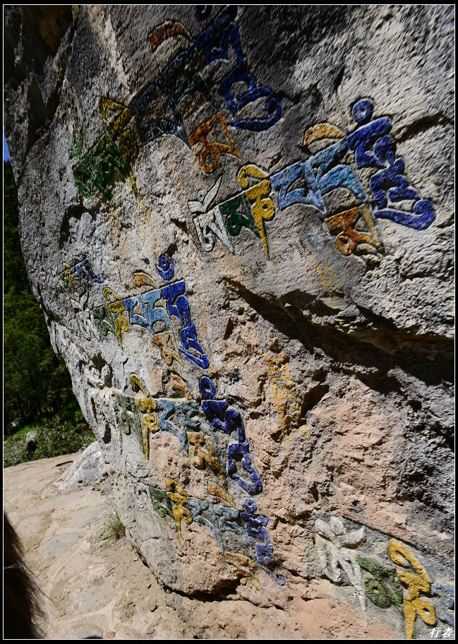 DSC_2331.jpg