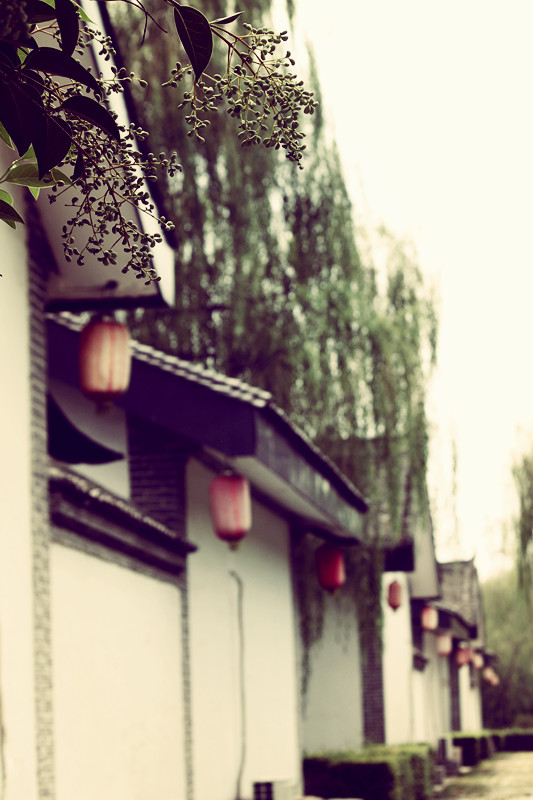 IMG_7102_副本.jpg