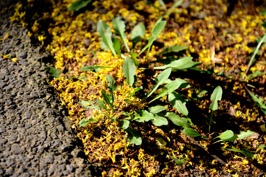DSC_9458.jpg