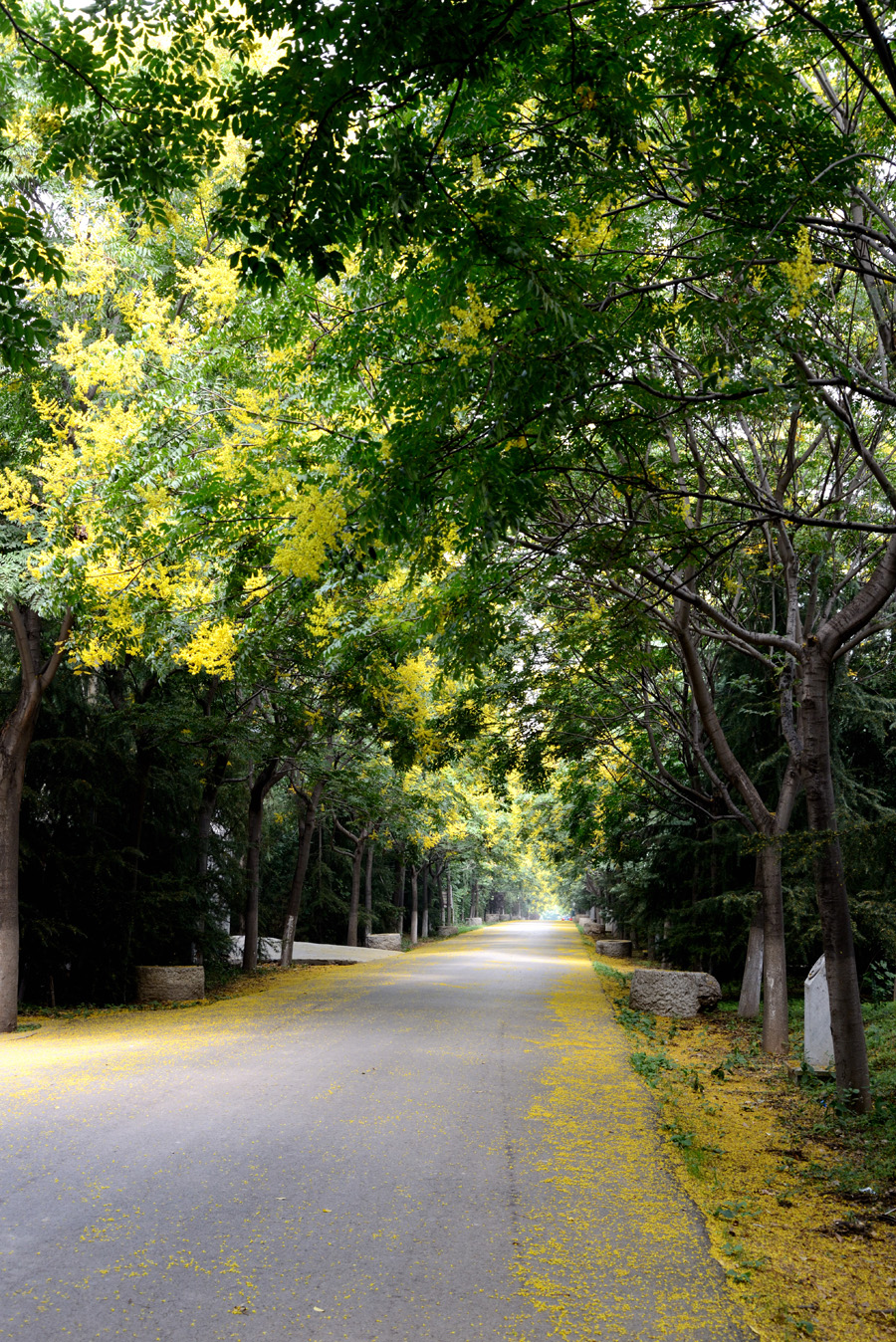 DSC_9716.jpg