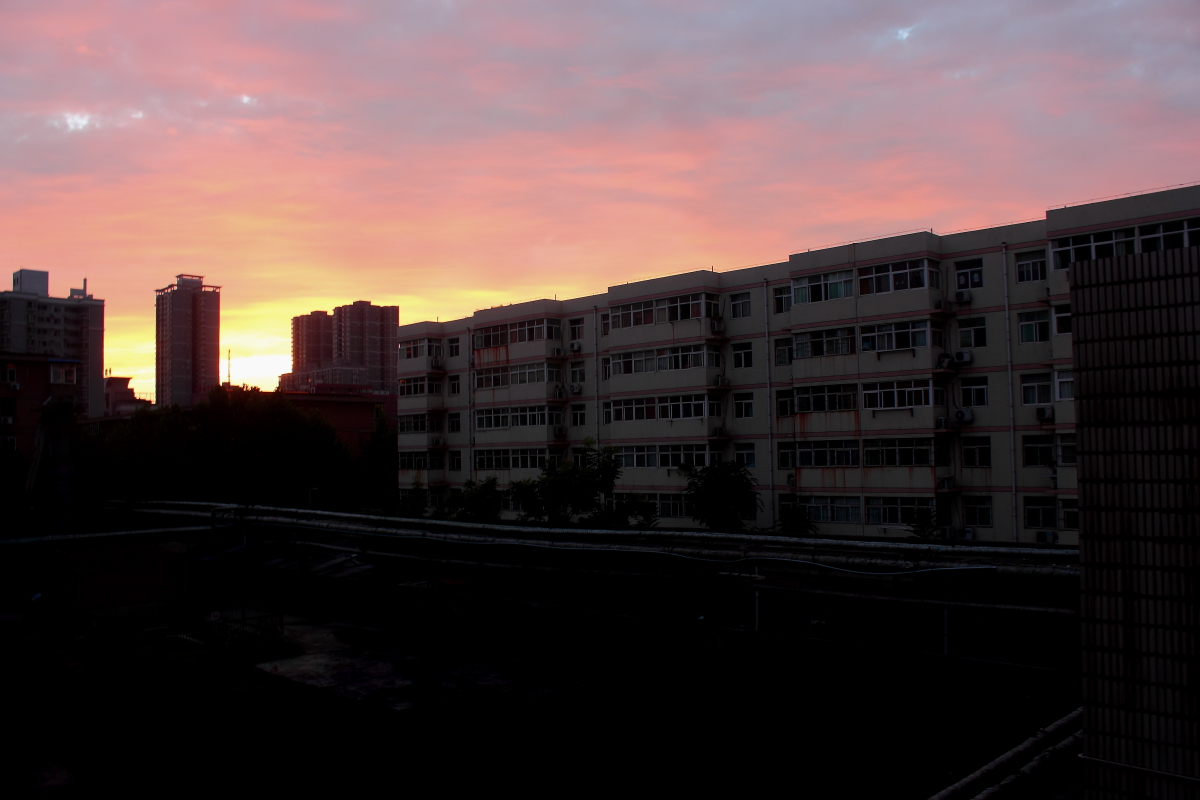 _MG_2963.JPG