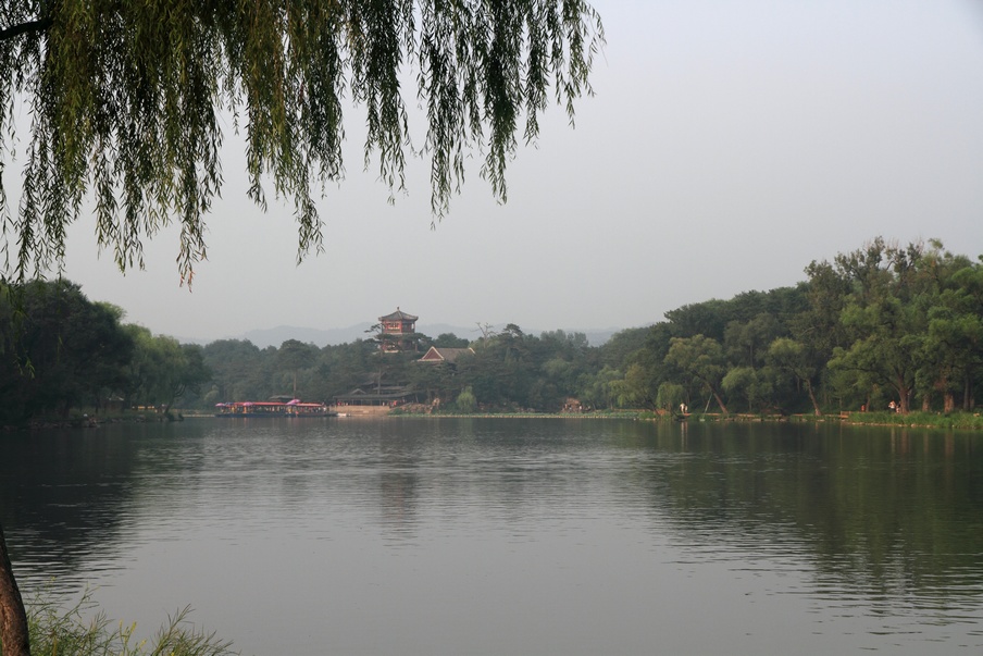植物园255.jpg