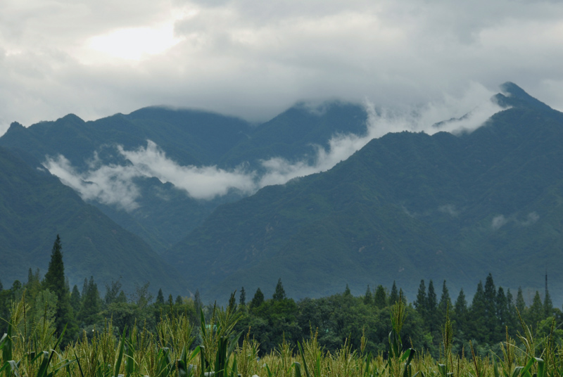 西炉丹村 (13).jpg