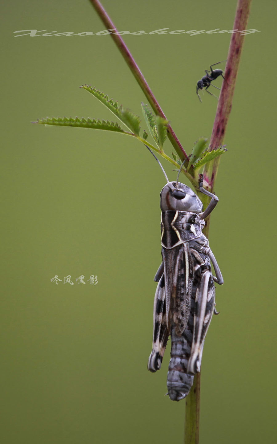 IMG_7685副本 2副本.jpg