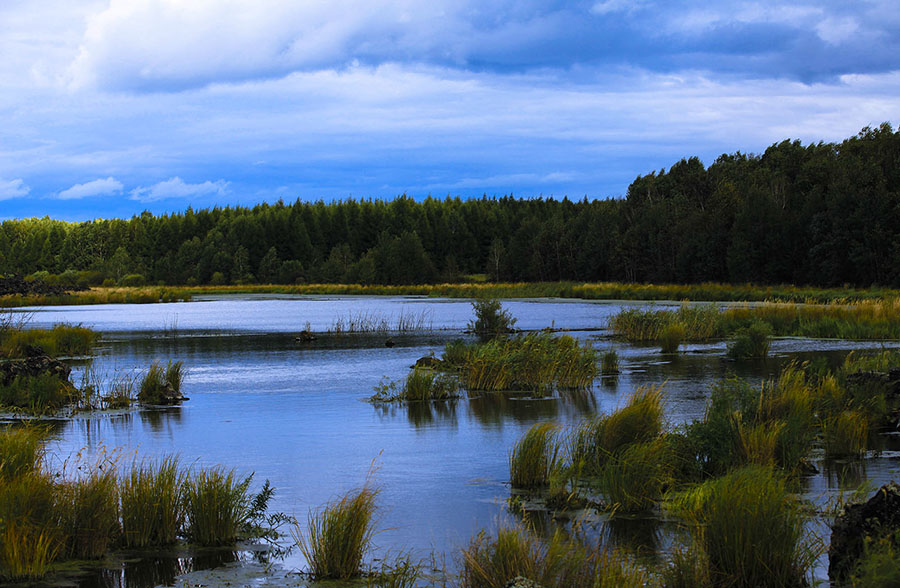 20130818_3890副本 2.jpg