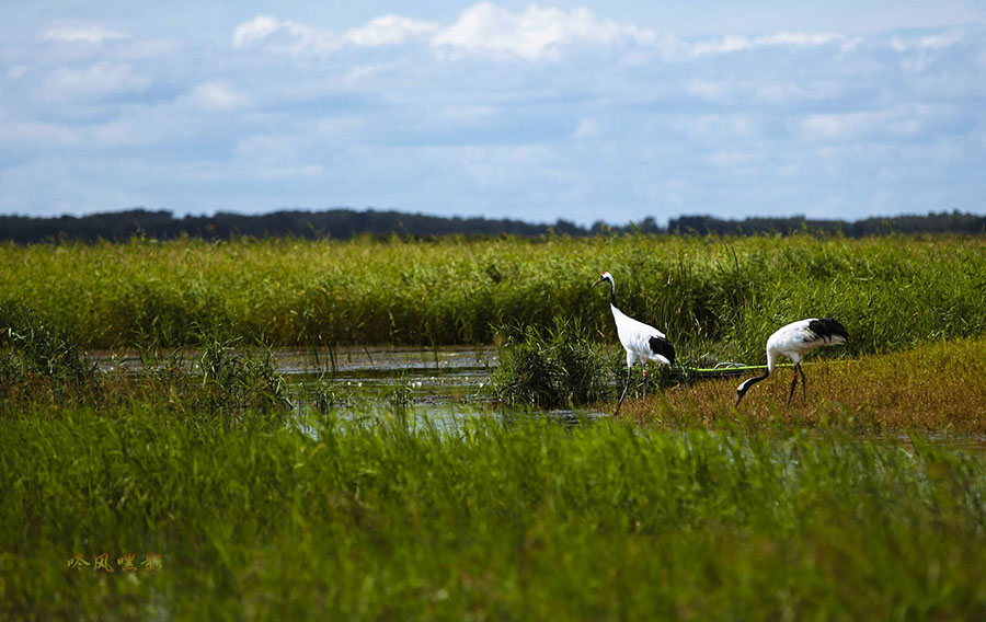 20130817_4186副本副本 2副本.jpg