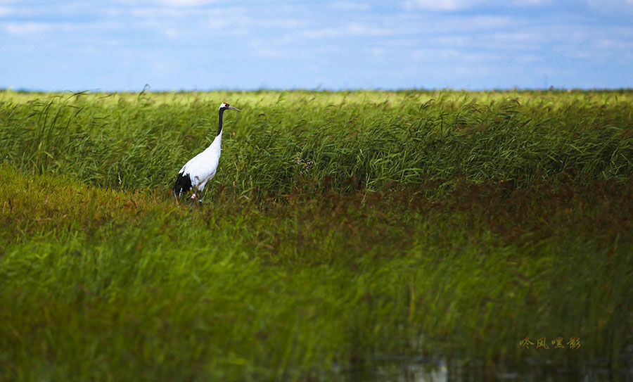 20130817_4199副本 2副本.jpg