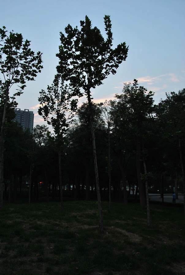 DSC_3128.jpg
