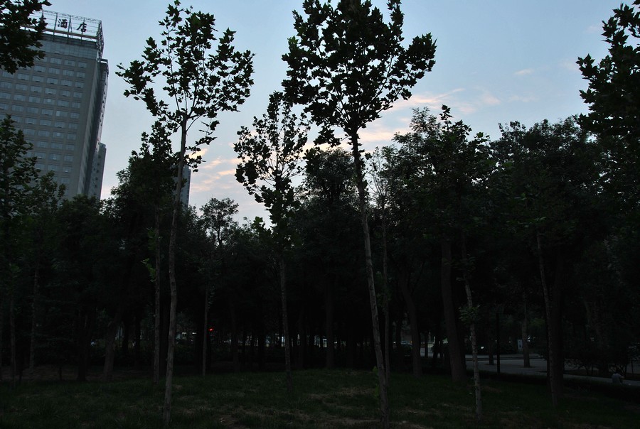 DSC_3125.jpg