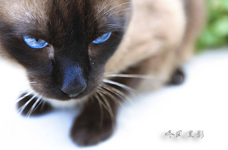 IMG_7086 (182)副本副本.jpg