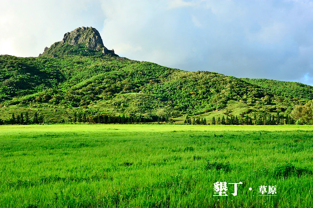 草原.jpg