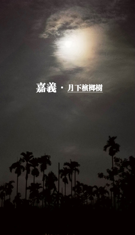月下槟榔夜.jpg