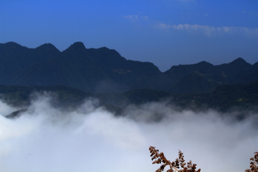 植物园301.jpg