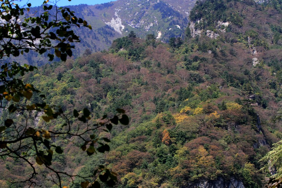 植物园331.jpg