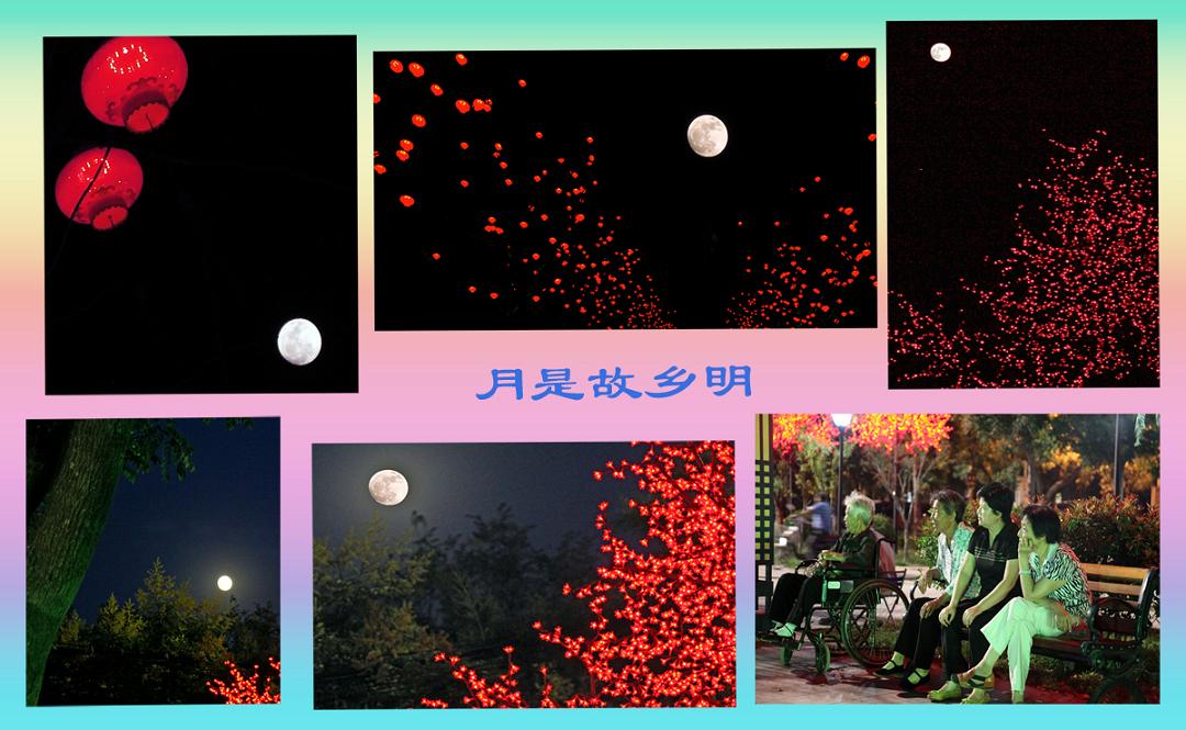 复件 月是故乡明-----.jpg