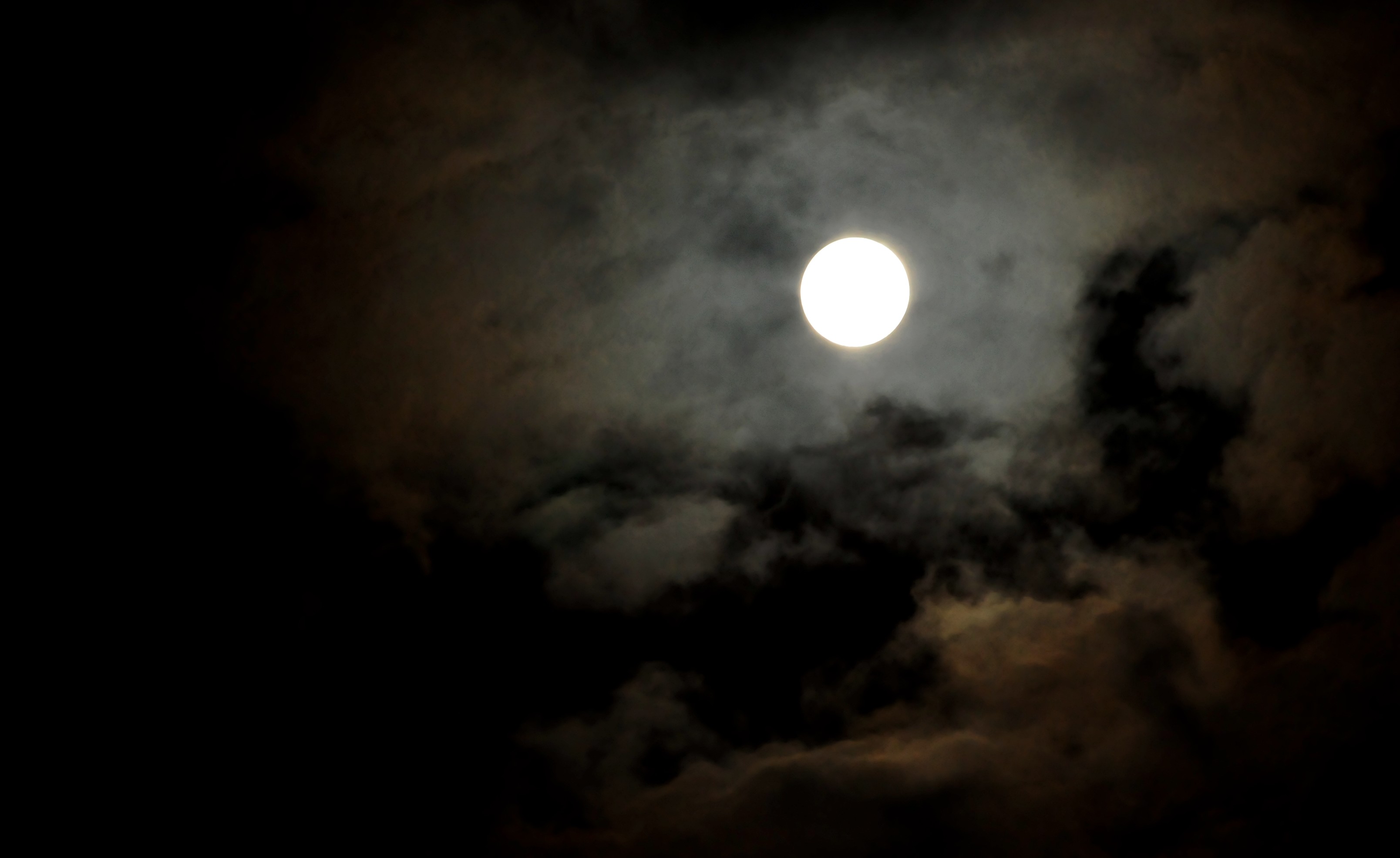 DSC_2495.JPG