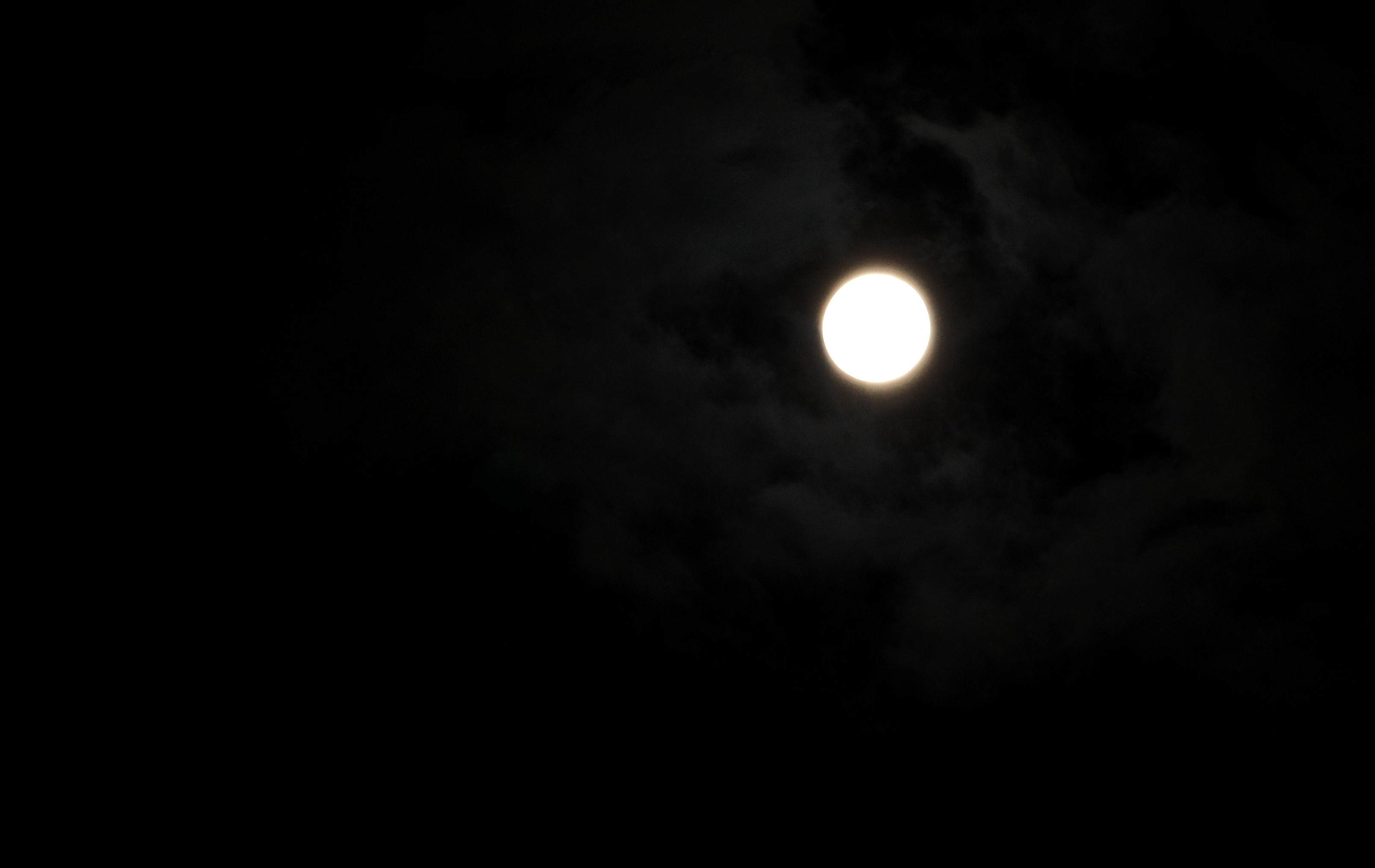 DSC_2487.JPG