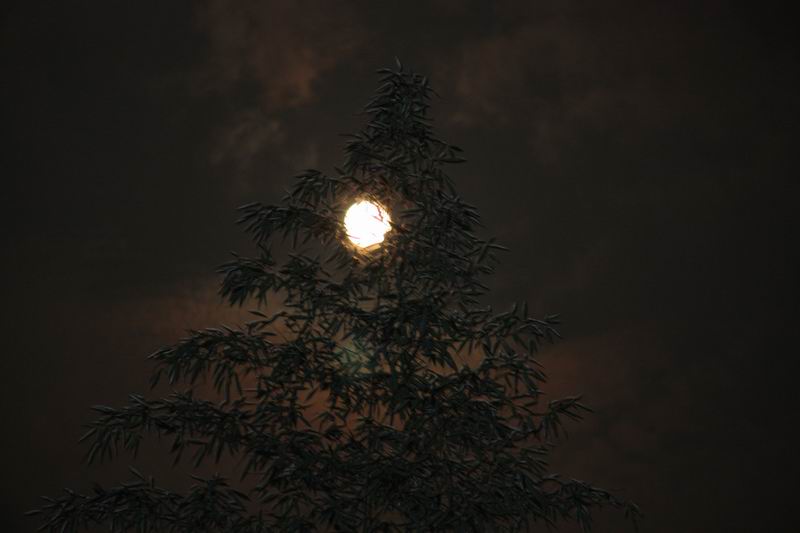 照片2013 397.jpg