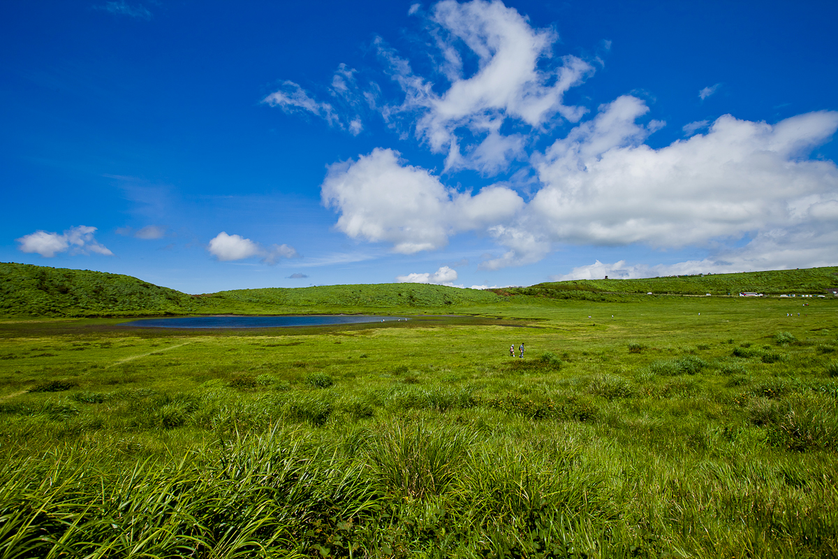 _MG_0185.jpg