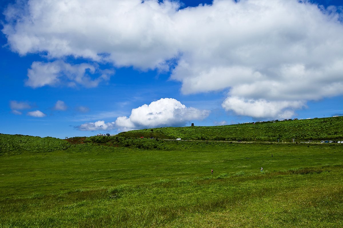 _MG_0221.jpg