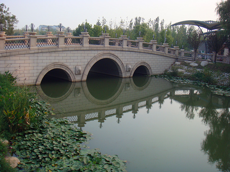 DSC07910_副本.jpg