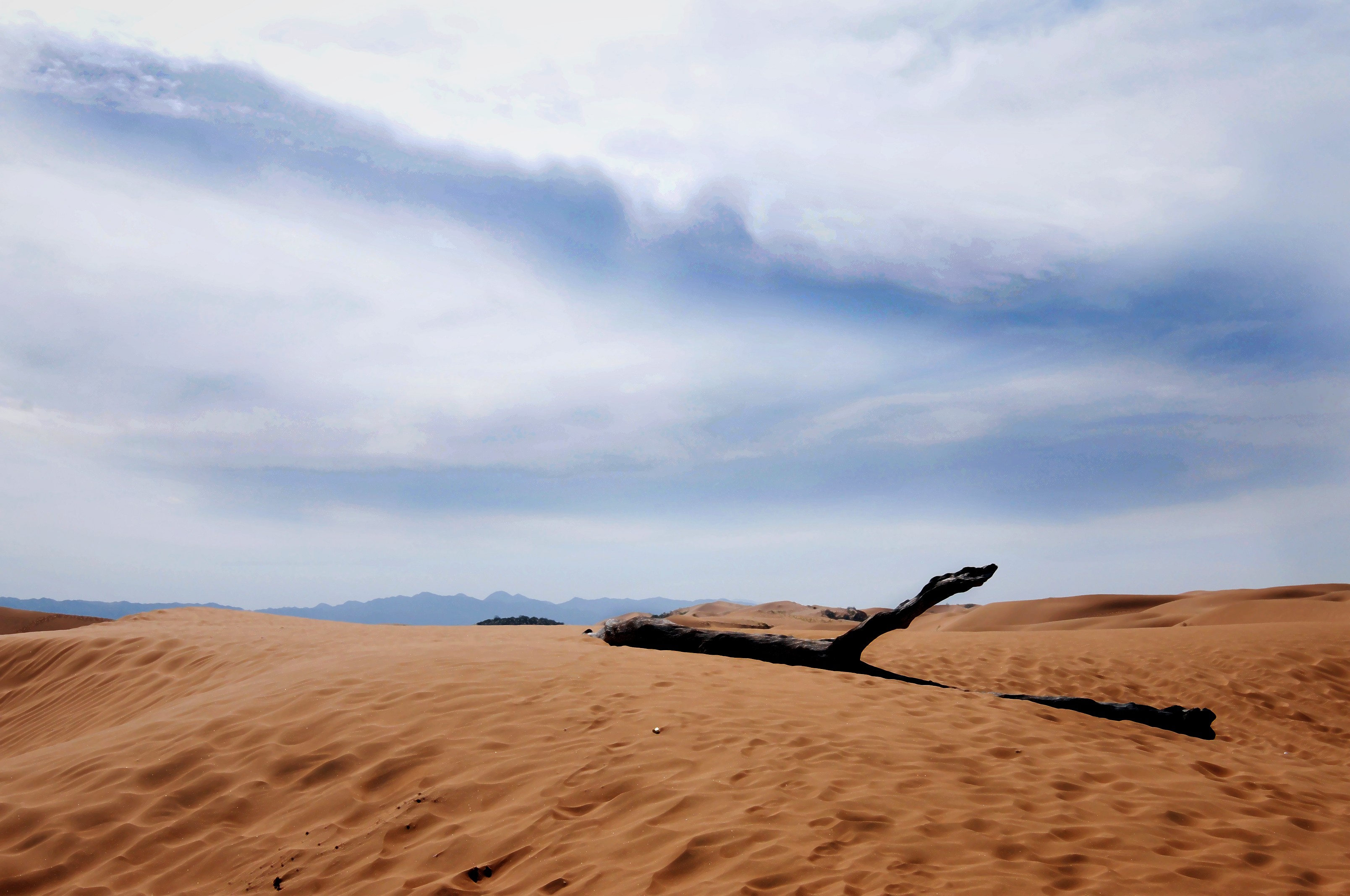 DSC_2746.JPG
