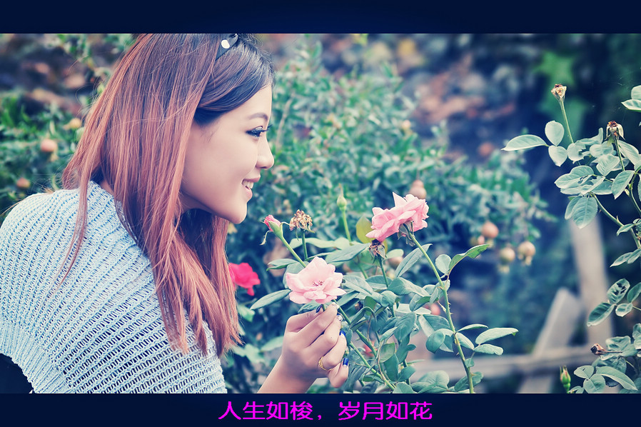 岁月如花.jpg