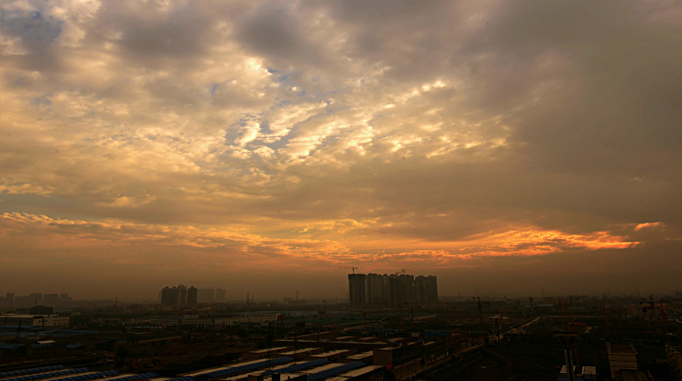 DSC_26331.jpg