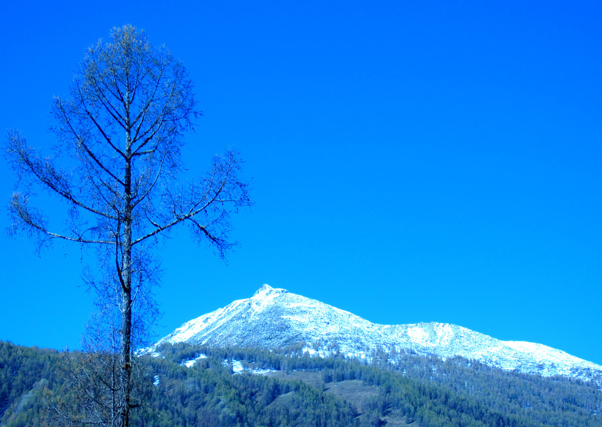 IMG_3594.JPG