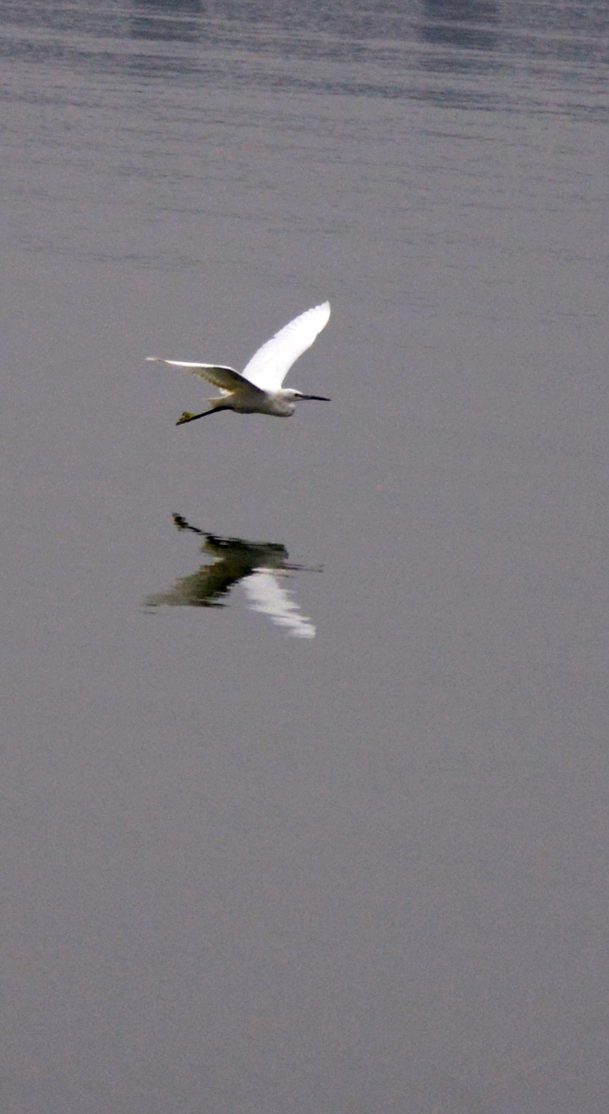DTC_1163.JPG