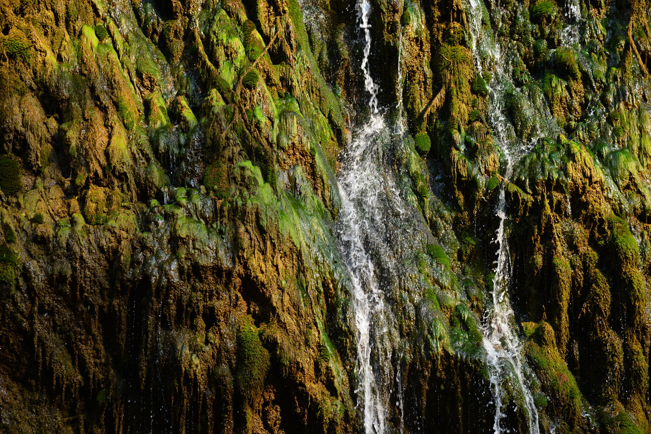 FGB_1182.JPG