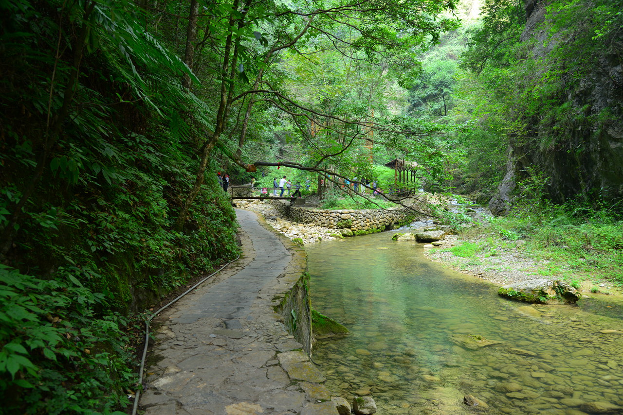 FGB_1207.JPG