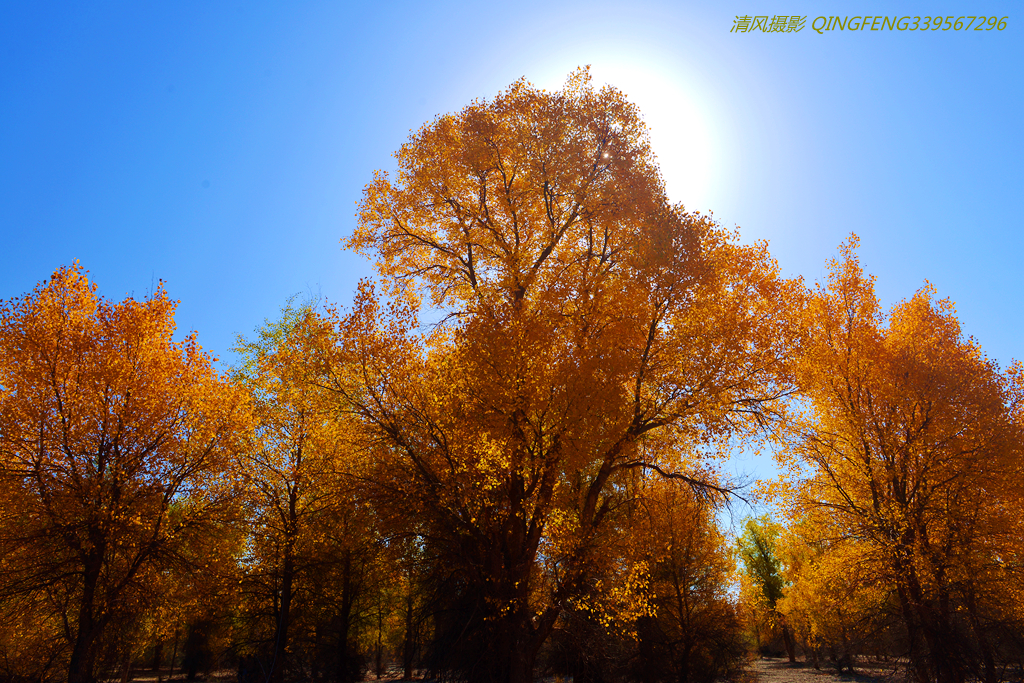DSC_0479_副本.jpg
