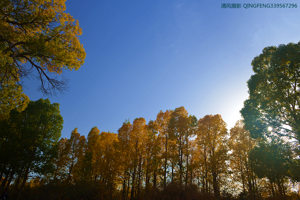 DSC_1098_副本.jpg