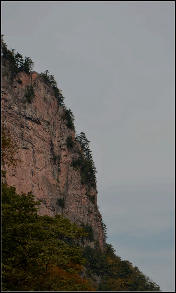 DSC_7446_副本.jpg