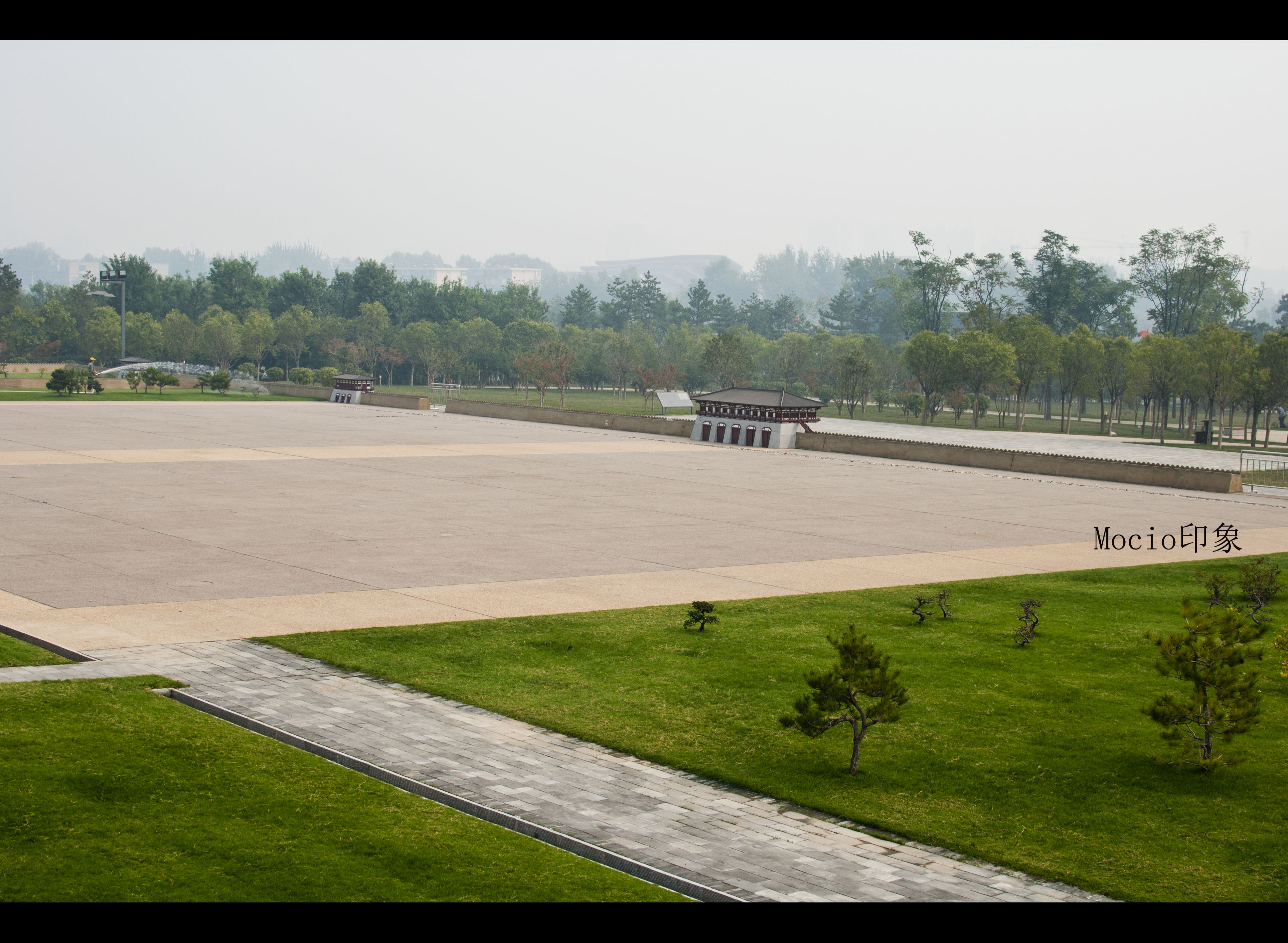 DSC_3310.jpg